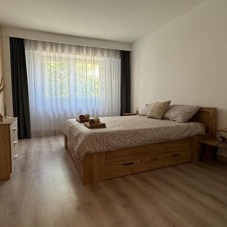 Lareina Apartament Клуж-Напока Екстер'єр фото