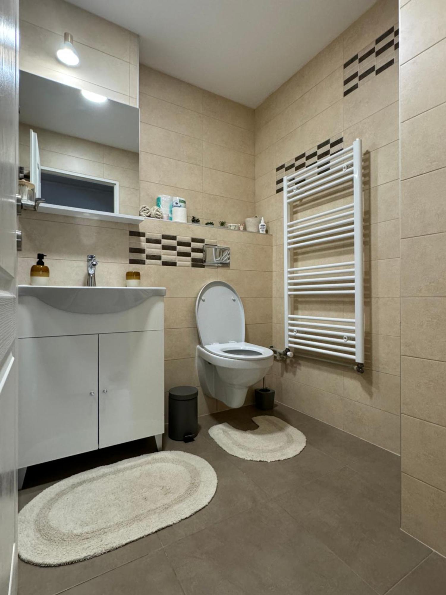 Lareina Apartament Клуж-Напока Екстер'єр фото